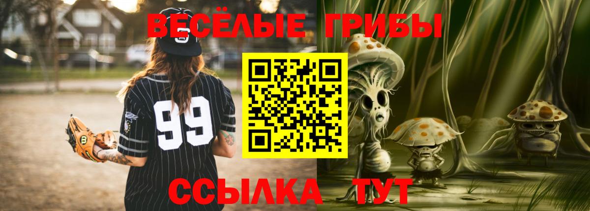 Галлюциногенные грибы MAGIC MUSHROOMS  Вход с VPN  Галлюциногенные грибы GOLDEN TEACHER  Новый Уренгой 